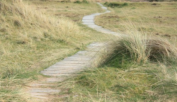 Path