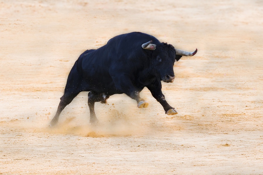 the longest bull market in history
