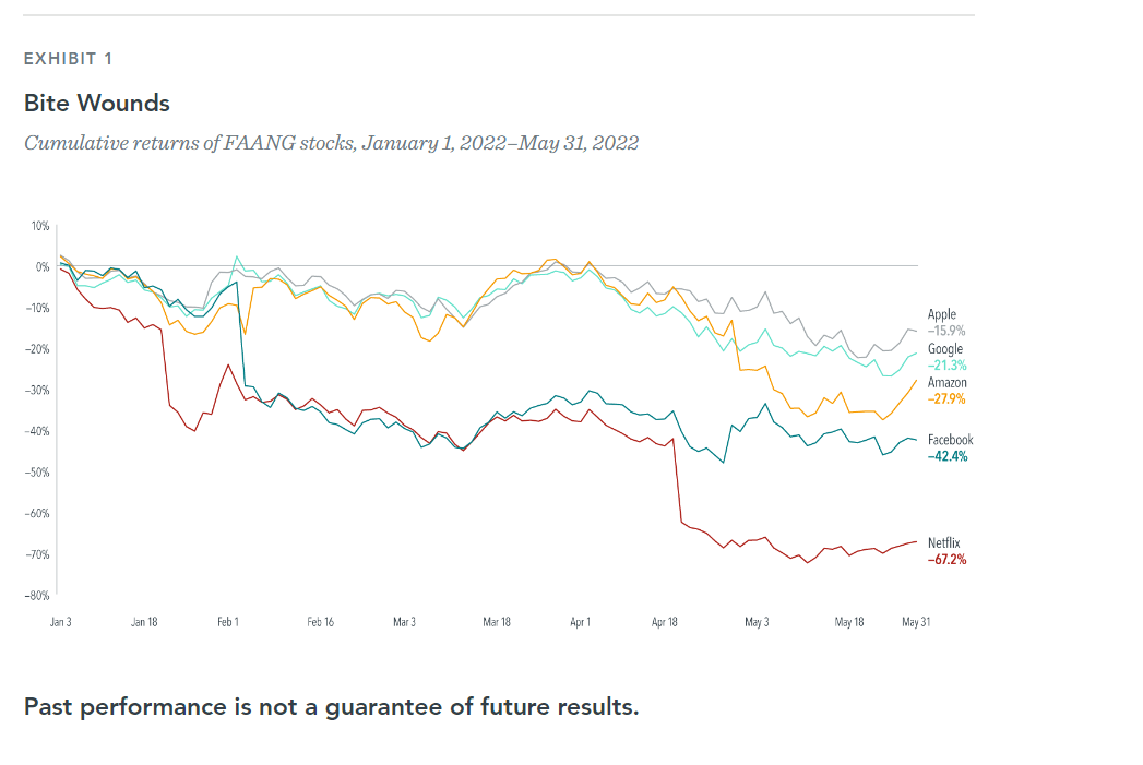 FAANG Stocks