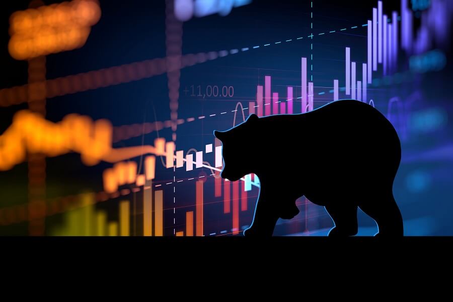 Bear Market Perspectives