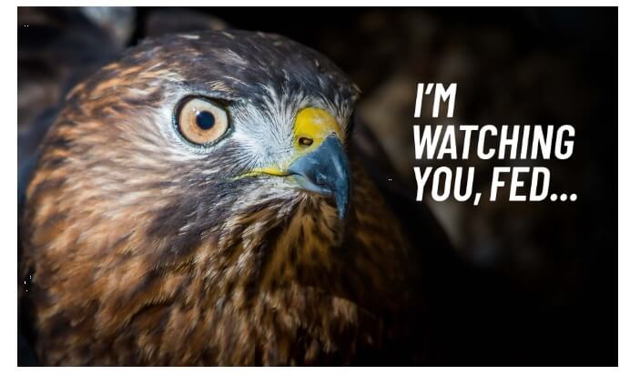 Fed Watch Fed Watch