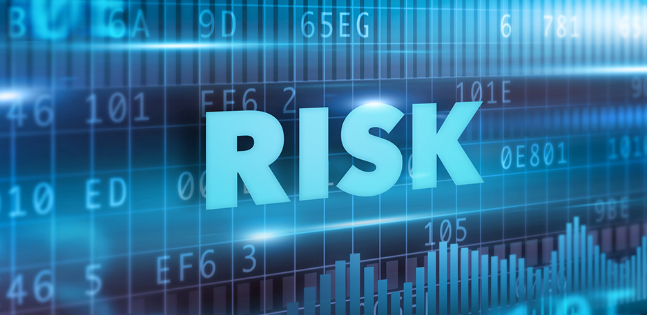 Risk Tolerance Assessment for High Net Worth Investors